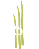 Blumen-Objekte Logo
